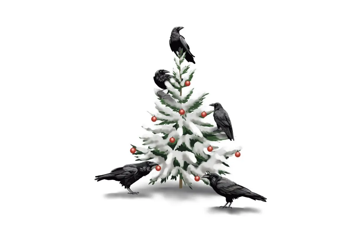 Ravens around a snow-covered evergreen adorned with red balls.