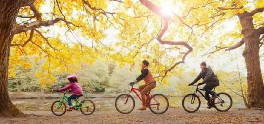3 people biking through a fall landscape